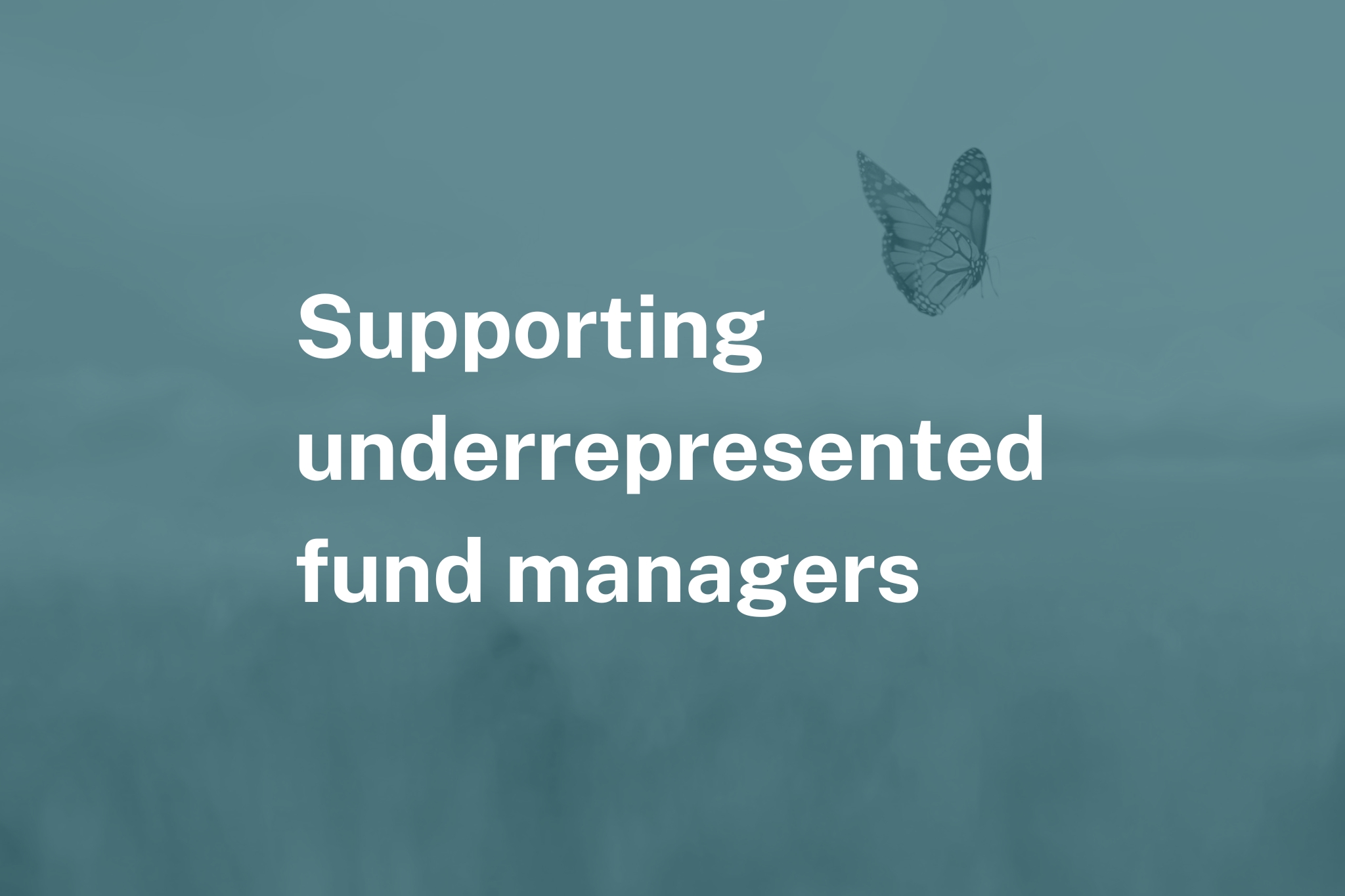 Text graphic that says "Supporting underrepresented fund managers"